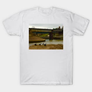 All Duckies in a Row a Buffalo Bayou T-Shirt